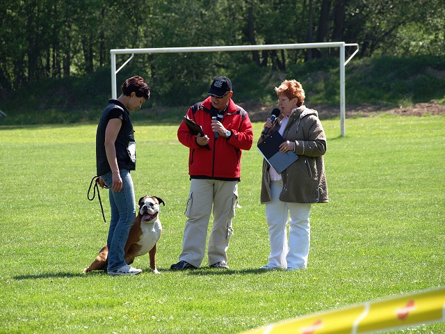 www.atibox.net * www.euroboxer.eu * www.boxergenealogia.eu